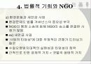 NGO의 정책 영향력 14페이지