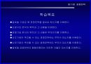 [국제경영전략] 경쟁전략 2페이지