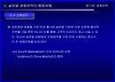 [국제경영전략] 경쟁전략 18페이지