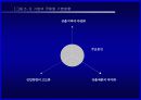 [국제경영과 다국적기업] 기업의 국제화와 다국적기업에 대한 이해 5페이지