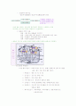도시의역사 15페이지