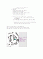 도시의역사 19페이지