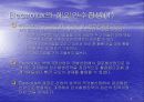 글로벌경영 해외인수합병 4페이지