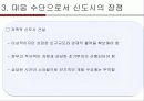 [도시사회학] 신도시개발의 문제점과 개선방향 12페이지