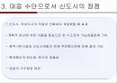 [도시사회학] 신도시개발의 문제점과 개선방향 14페이지