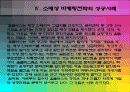 소매상 마케팅전략의 모델 12페이지