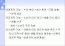 광고의 정의와 역사 13페이지