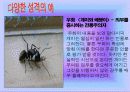 성격 심리학 13페이지