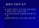 형법의 의의 2페이지