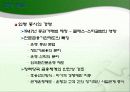 한일금융산업의_비교 11페이지