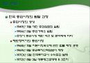 한일금융산업의_비교 12페이지