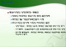 한일금융산업의_비교 13페이지