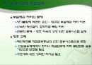 한일금융산업의_비교 19페이지