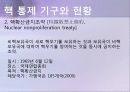 핵문제 세계 핵 보유국 현황 및 핵 통제 기구 현황 4페이지