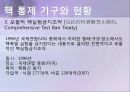 핵문제 세계 핵 보유국 현황 및 핵 통제 기구 현황 5페이지