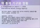 핵문제 세계 핵 보유국 현황 및 핵 통제 기구 현황 6페이지