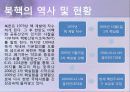 핵문제 세계 핵 보유국 현황 및 핵 통제 기구 현황 9페이지