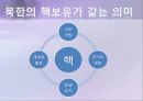 핵문제 세계 핵 보유국 현황 및 핵 통제 기구 현황 10페이지