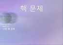 핵문제 세계 핵 보유국 현황 및 핵 통제 기구 현황 11페이지