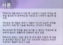 핵문제 세계 핵 보유국 현황 및 핵 통제 기구 현황 14페이지