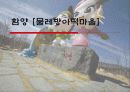 함양 [물레방아떡마을] 1페이지