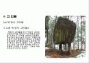 한국 고대 묘제와 성산동 고분군 묘제 5페이지