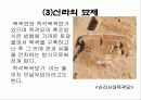 한국 고대 묘제와 성산동 고분군 묘제 25페이지