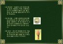 차의 종류와 분류 22페이지