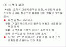 국제물류전략의 개발 3페이지