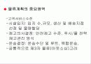 국제물류전략의 개발 14페이지