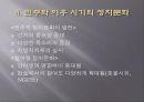 한국의 정치문화에 대한 고찰 9페이지