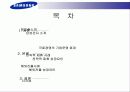 삼성전자의 국제경영 2페이지