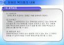 장애인 복지법 28페이지