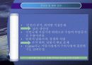 삼성물산의 호주탄광 진출 17페이지