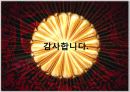 천황의 일본 16페이지