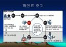 세계 핵 문제 13페이지