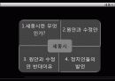 세종시란 무엇인가? 2페이지
