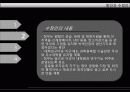 세종시란 무엇인가? 10페이지