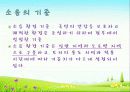 소음 공해 7페이지