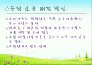 소음 공해 18페이지