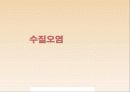 수질오염의 원인 사례조사 규제 및 대책 1페이지