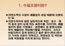 수질오염의 원인 사례조사 규제 및 대책 3페이지