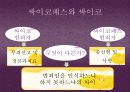싸이코패스 4페이지