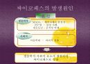 싸이코패스 6페이지