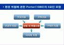 기업의 외부환경 평가 7페이지