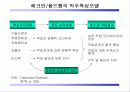[직무관리]직무 구조 과정 설계 인사부문 설계 16페이지
