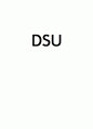분쟁해결제도(DSU) 1페이지