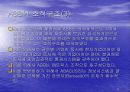 [글로벌경영] 조직구조와 인적자원관리 5페이지