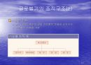 [글로벌경영] 조직구조와 인적자원관리 14페이지