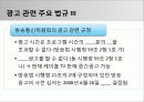 광고 법제 (광고 법제의 시초 및 종류, 국내 법제, 국제 법제, 광고 법제 관련 이슈들) 9페이지